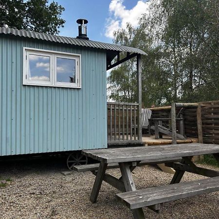 Отель Sumners Ponds Fishery & Campsite Хоршам Экстерьер фото